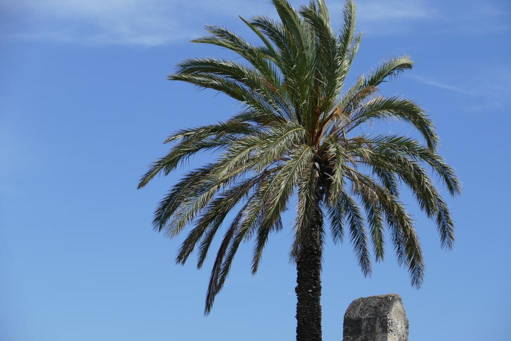 Georgia Old Town Apartments Rhodes City Екстериор снимка